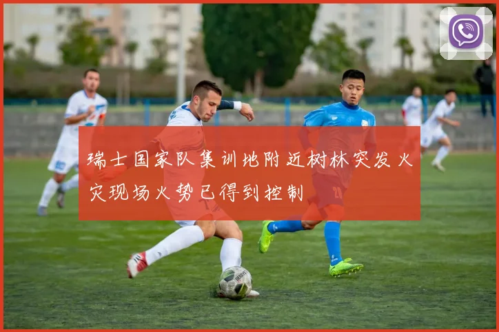 瑞士国家队集训地附近树林突发火灾现场火势已得到控制