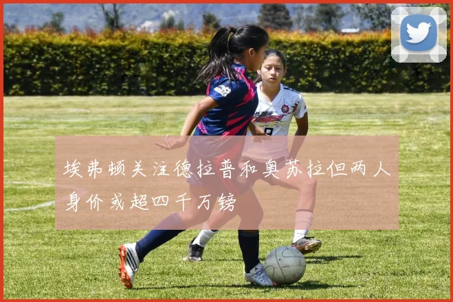 埃弗顿关注德拉普和奥苏拉但两人身价或超四千万镑