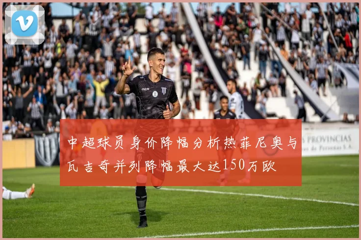 中超球员身价降幅分析热菲尼奥与瓦吉奇并列降幅最大达150万欧